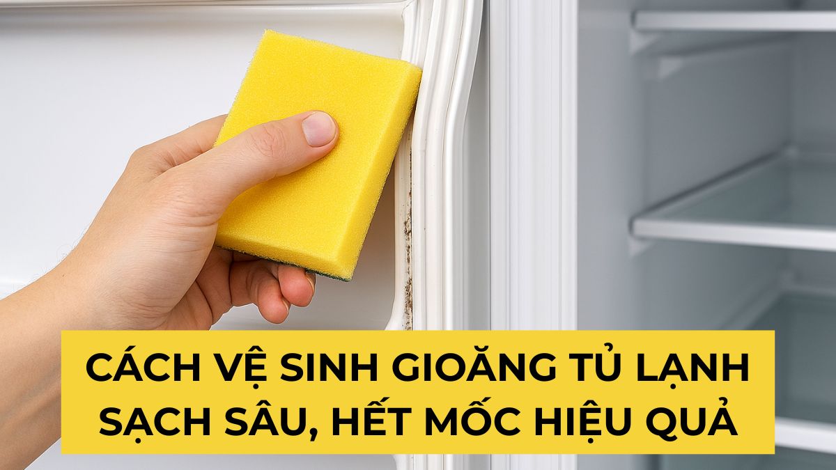 Cách vệ sinh gioăng tủ lạnh sạch sâu, hết mốc hiệu quả